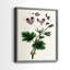 AntiqueFloralFolioIX - reproduction encadrée de qualité supérieure - prête à être accrochée - aucun clou requis - aucun clou requis-1289092260-1289092268