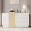 Particle Board / Chipboard 2 - Door Rectangle Accent Cabinet