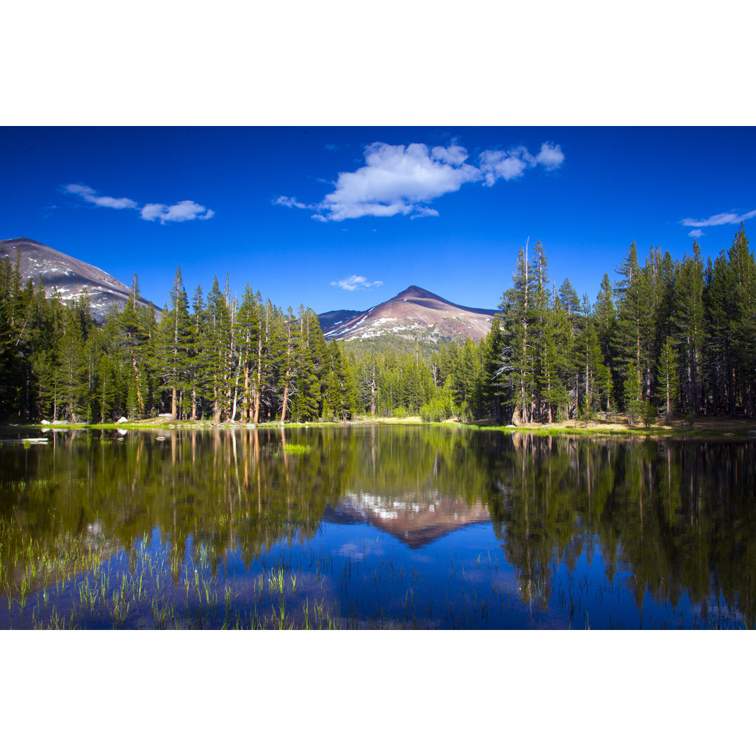 Reflections On The Lake von TonyFeder - Kunstdrucke auf Leinwand ohne Rahmen