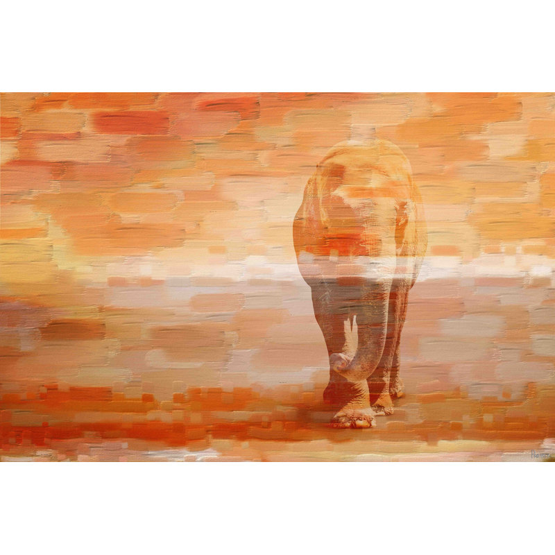 Parvez Taj - Wrapped Canvas Print, 30cm H x 45cm W