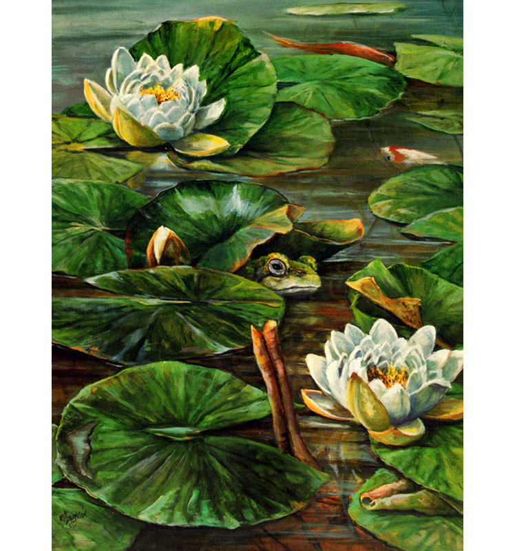 Frog In Lily Pond