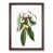 Walnut Framed selected