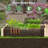 Wooden Raised Garden Bed w/ 2 Planter Boxes Divider Open-Ended Base for Flower