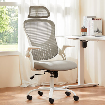 Riegelsville Mesh Office Task Chair with Headrest