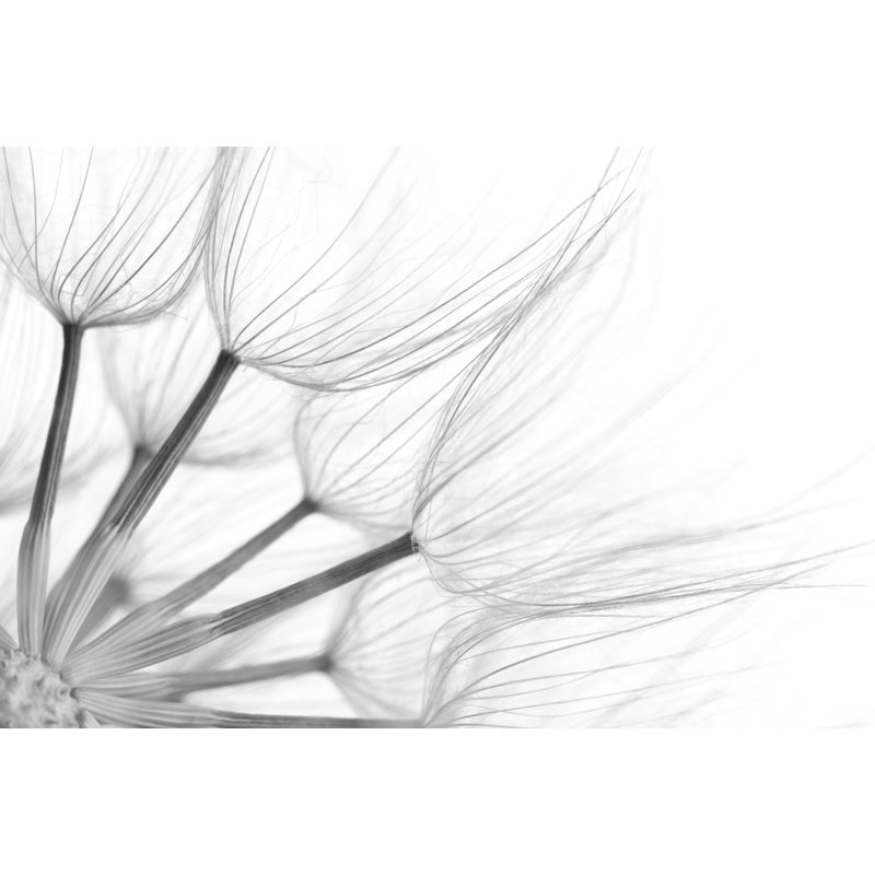Fleurs en noir et blanc doux 1, H 16 po x l 24 po x P 1,5 po