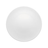 TAC Porcelain Dinner Plate