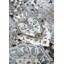 Kollektion 1809 No Pattern And No Solid Colour Machine Woven Light Grey Area Rug-101255025