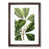 Walnut Framed selected