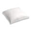Lush Square Pillow Cover & Insert-869170600