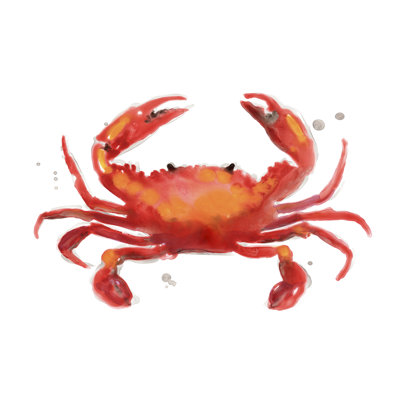 Crab Cameo I 1 Piece Painting on Canvas