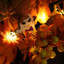 Faux Lighted Mixed Assortment 35cm Wreath