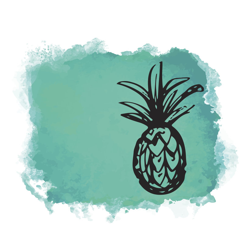 Hausman Pineapple - Wrapped Canvas Painting, 122cm H x 122cm W x 3.8cm D