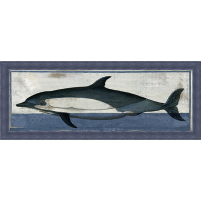 Antiqued Dolphin " Antiqued Dolphin 1 "