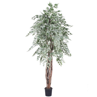 72'' Faux Tree in Pot