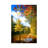 Fall Framing by Philippe Sainte-Laudy - Print on Canvas-1619985307-1619985308