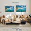 Plage D'Oliva Gillard-108950046