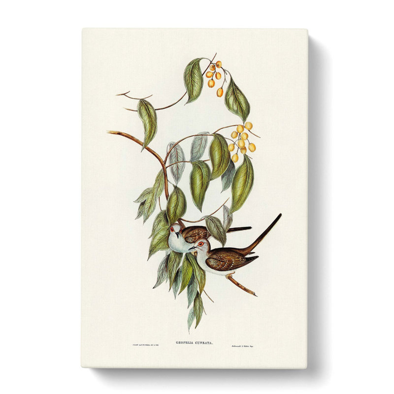 Graceful Ground Doves by Elizabeth Gould - Wrapped Canvas, 76cm H x 50cm W x 3cm D