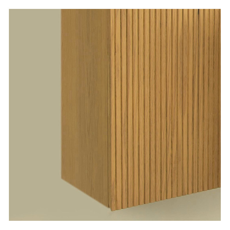 Remy Wall-Mounted Tall Bathroom Storage Cabinet with Door