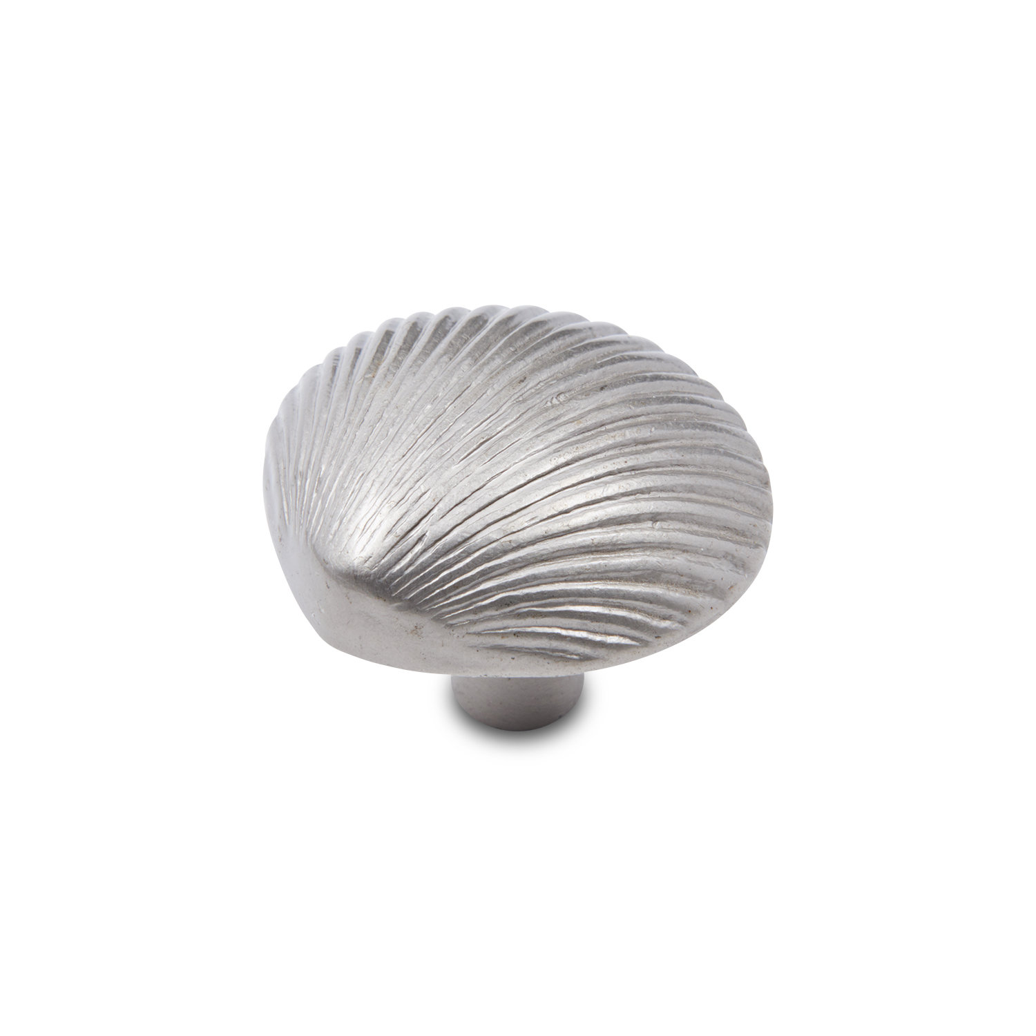 Shell Knob CK Series, Satin Nickel