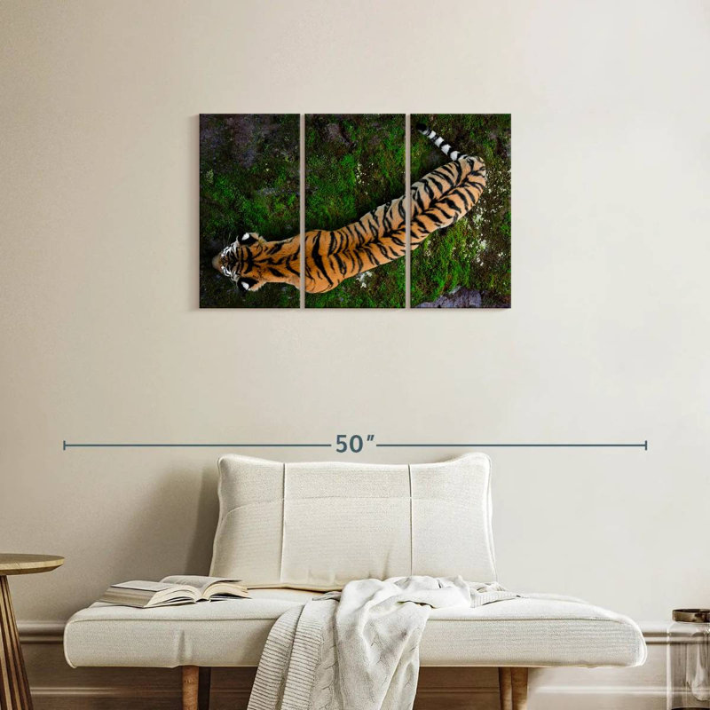 Brampt Tiger From Above, 20" H x 33" W