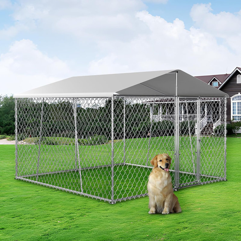 Enclos pour chien, H 84 po