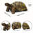 21.3" Resin Turtle Garden Statue