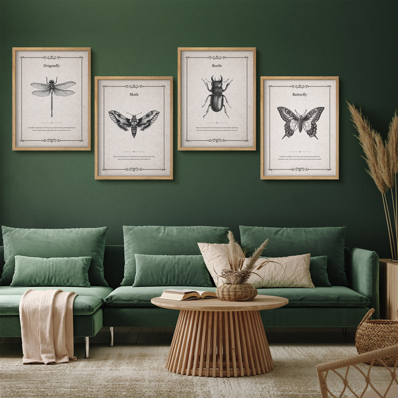 Insectes scientifiques, ensemble de 4 reproductions d'art encadrées - salon, chambre à coucher, bureau, bureau, Naturel