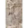 Kelson Abstract Indoor Rug