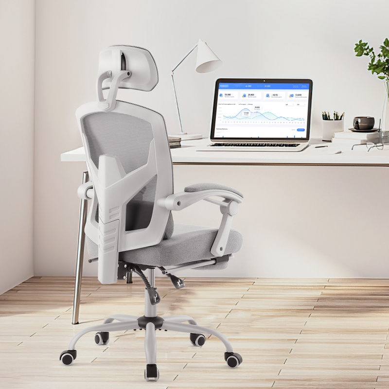 Mesh High Back Ergonomic Office Chair Lumbar Support Pillow Computer Desk Chair, Gray, Silver