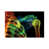 Gallery Wrapped Canvas n'est pas disponible