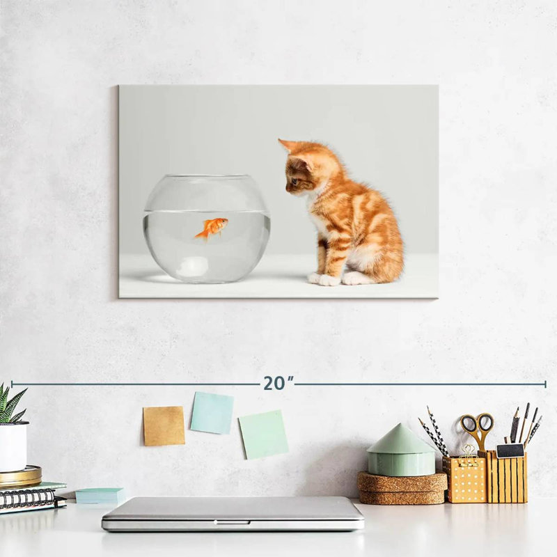Pet Fish And Kitten, 8" H x 12" W