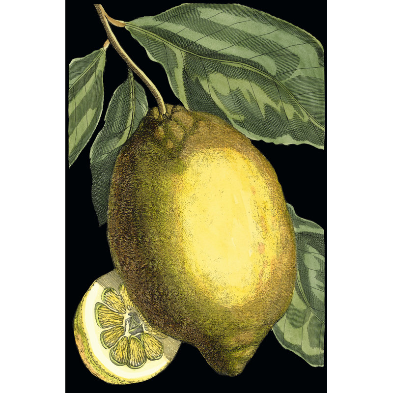 Fragrant Citrus II by Johann C. Volckamer - Wrapped Canvas Painting, 46cm H x 30cm W