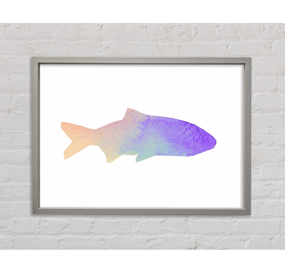 Gerahmtes Leinwandbild Rainbow Fish Framed Print