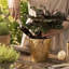 Pot à fleurs 5 po Modern-1830230551
