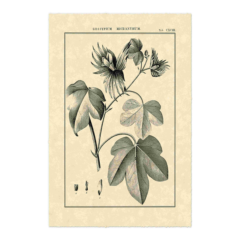 Étude botanique rétro IV, H 48 po x l 32 po