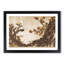 Ancient Plum Tree by Katsushika Hokusai - Single Picture Frame Painting-55544752-55544758