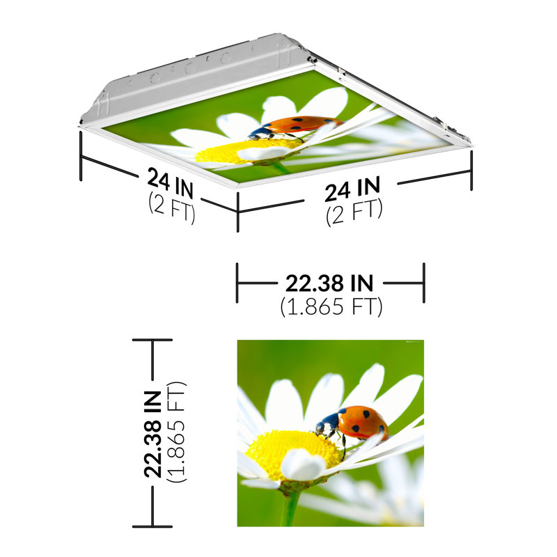 Flower Square Fixture Component Ceiling Light