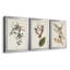 Pl. «160 Carolina Titmouse», ensemble de 3 impressions sur toile encadrées-1895717707-1895717709