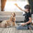 Krech Faux Fur Indoor Rug