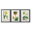 Reproduction encadrée antique de qualité florale antique - prête à être accrochée-69982484-69982487