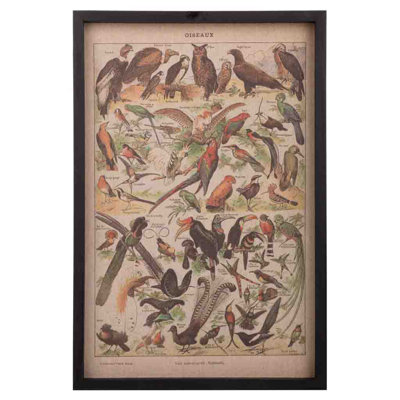 Single Picture Frame Print
