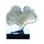 Ginkgo Leaf Object-20578504