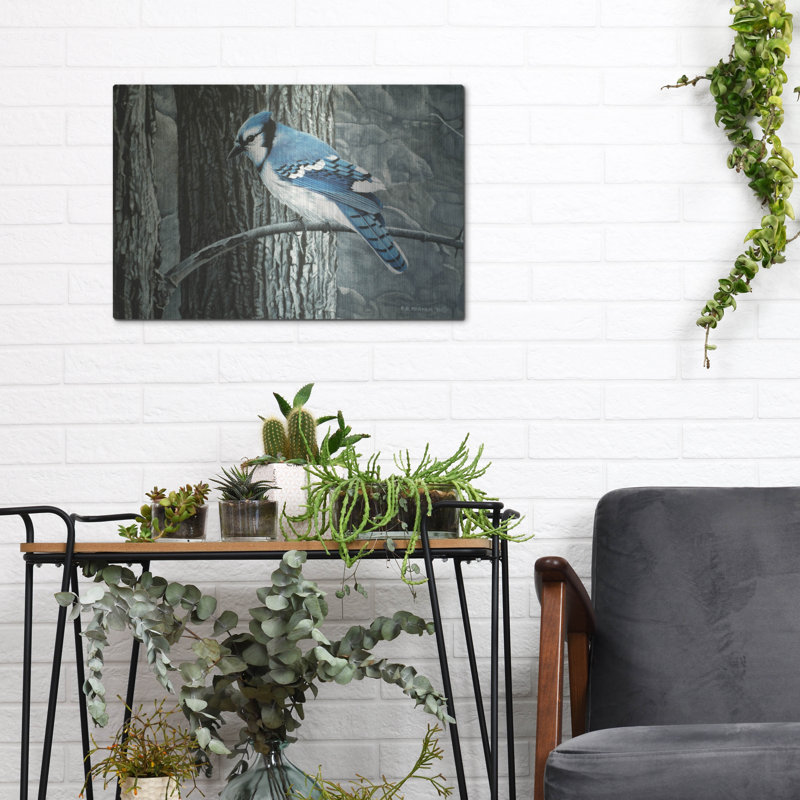 «Backyard Jay» par Ron Parker, H 12 po x l 16 po