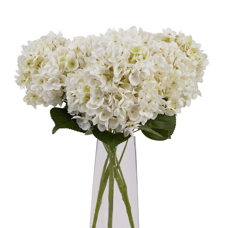 Anastasija Arrangement, White
