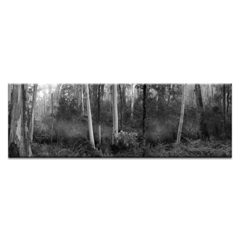 Andrew Brown - Print on Canvas