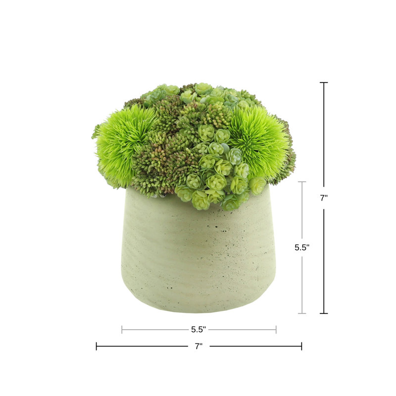 Rizal Faux Succulent in Fiberstone Pot, Beige
