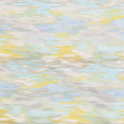 Skies Fabric