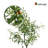 49'' Faux Olive Tree Tree in Pot