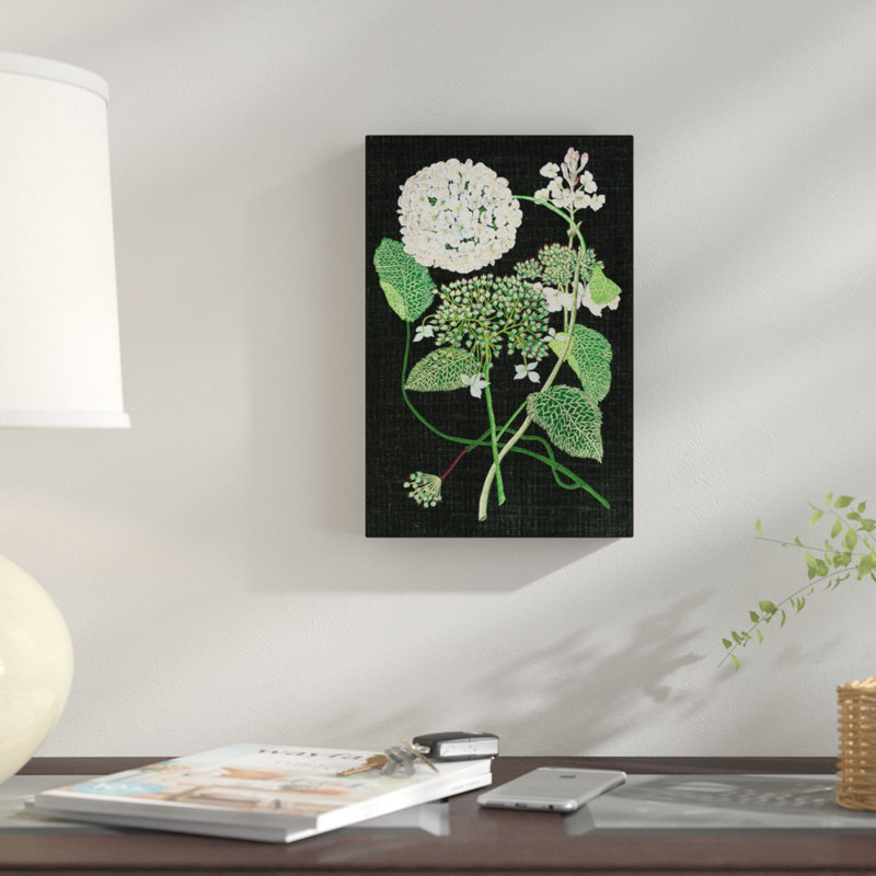 « white hortensia study i », impression sur toile, H 12 po x l 8 po x P 0,75 po, Pas de tapis, Toile tendue