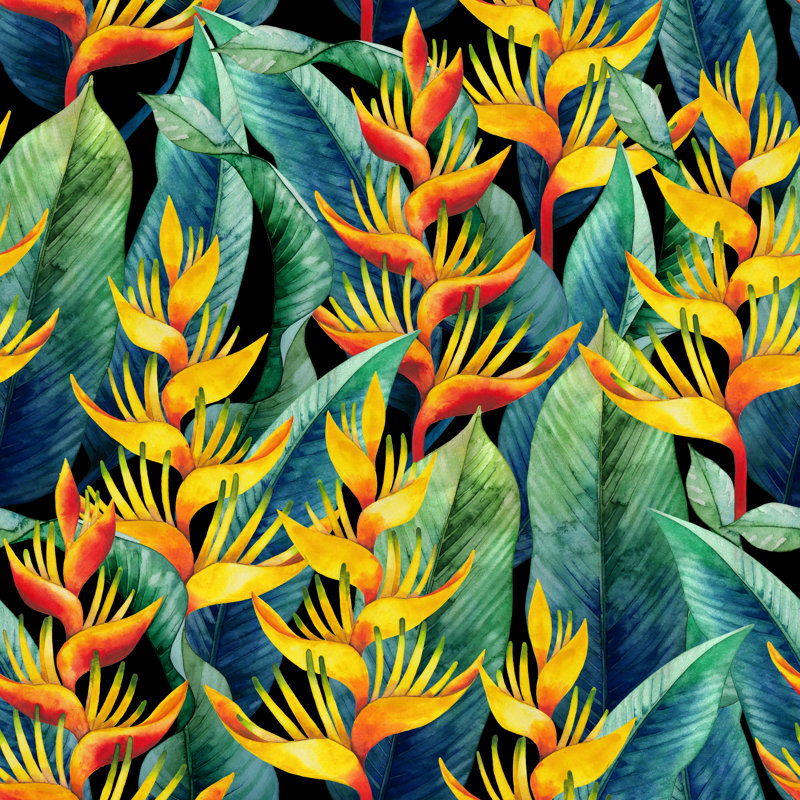 Livinia " Heliconia Pattern " Painting Print, 12" H x 12" W  
